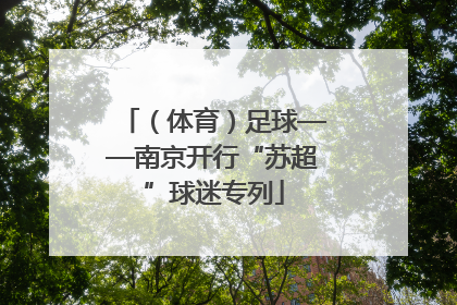 （体育）足球——南京开行“苏超”球迷专列