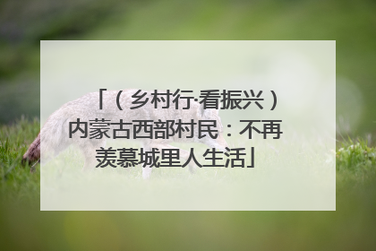 （乡村行·看振兴）内蒙古西部村民：不再羡慕城里人生活