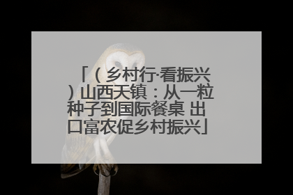 （乡村行·看振兴）山西天镇：从一粒种子到国际餐桌 出口富农促乡村振兴