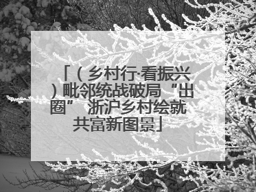 （乡村行·看振兴）毗邻统战破局“出圈” 浙沪乡村绘就共富新图景