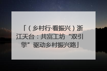 （乡村行·看振兴）浙江天台：共富工坊“双引擎”驱动乡村振兴路