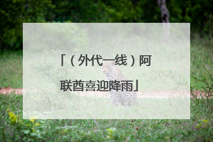 （外代一线）阿联酋喜迎降雨