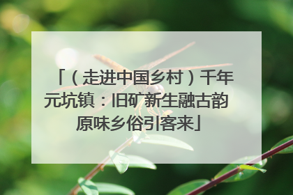（走进中国乡村）千年元坑镇：旧矿新生融古韵 原味乡俗引客来