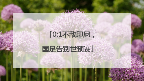 0:1不敌印尼，国足告别世预赛