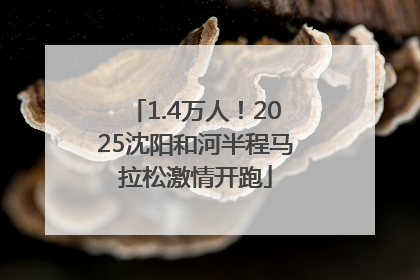 1.4万人！2025沈阳和河半程马拉松激情开跑