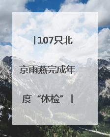 107只北京雨燕完成年度“体检”