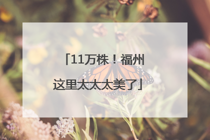 11万株！福州这里太太太美了