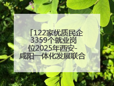 122家优质民企 3359个就业岗位2025年西安-咸阳一体化发展联合招聘会举办