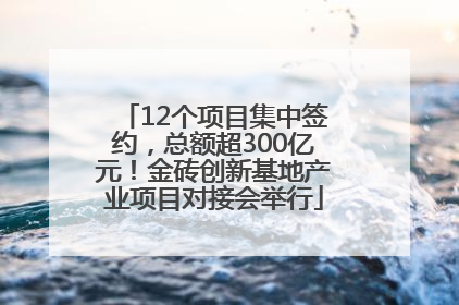 12个项目集中签约，总额超300亿元！金砖创新基地产业项目对接会举行