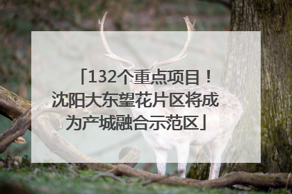 132个重点项目！沈阳大东望花片区将成为产城融合示范区