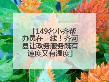 149名小齐帮办员在一线！齐河县让政务服务既有速度又有温度