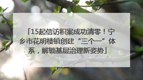 15起信访积案成功清零！宁乡市花明楼镇创建“三个一”体系，解锁基层治理新姿势