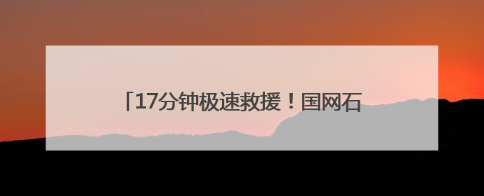 17分钟极速救援！国网石首供电守护江豚不断“电”