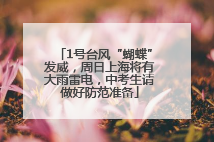 1号台风“蝴蝶”发威，周日上海将有大雨雷电，中考生请做好防范准备