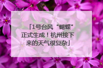 1号台风“蝴蝶”正式生成！杭州接下来的天气很复杂
