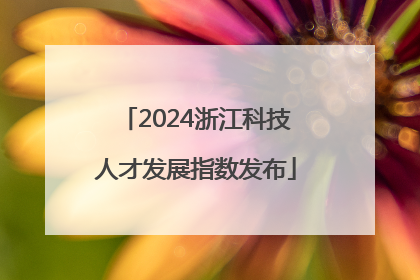 2024浙江科技人才发展指数发布