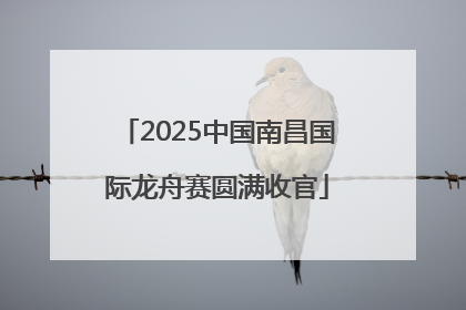 2025中国南昌国际龙舟赛圆满收官