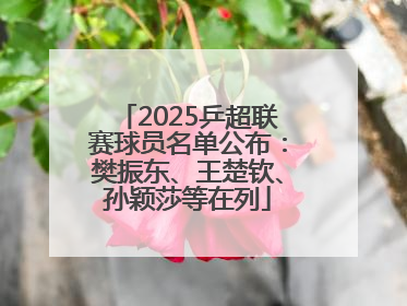 2025乒超联赛球员名单公布：樊振东、王楚钦、孙颖莎等在列