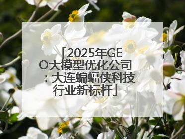 2025年GEO大模型优化公司：大连蝙蝠侠科技行业新标杆