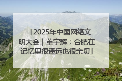2025年中国网络文明大会｜董宇辉：合肥在记忆里很遥远也很亲切