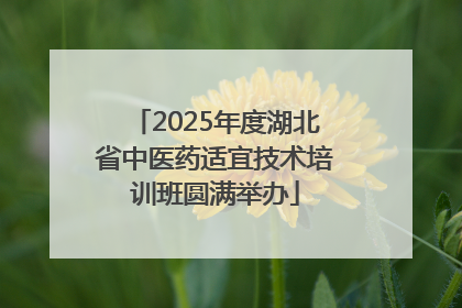 2025年度湖北省中医药适宜技术培训班圆满举办