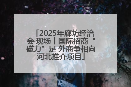 2025年廊坊经洽会·现场丨国际招商“磁力”足 外商争相向河北推介项目