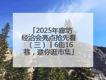 2025年廊坊经洽会亮点抢先看（三）丨6街16巷，邀你逛市集