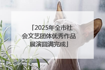 2025年全市社会文艺团体优秀作品展演圆满完成
