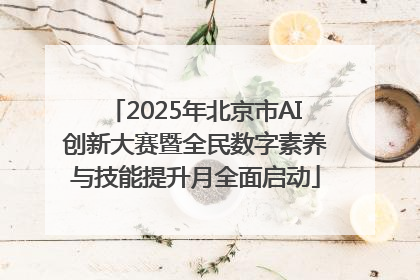 2025年北京市AI创新大赛暨全民数字素养与技能提升月全面启动