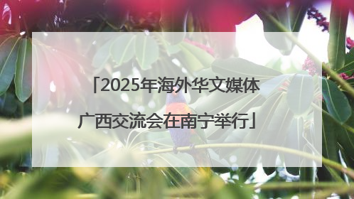 2025年海外华文媒体广西交流会在南宁举行