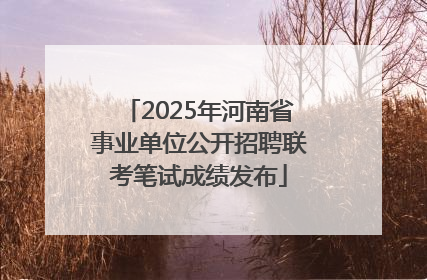 2025年河南省事业单位公开招聘联考笔试成绩发布