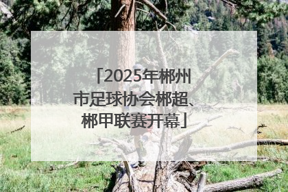 2025年郴州市足球协会郴超、郴甲联赛开幕