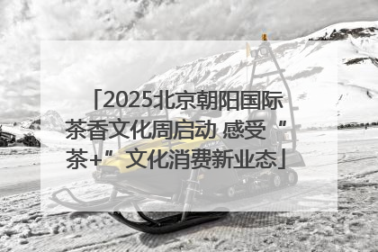2025北京朝阳国际茶香文化周启动 感受“茶+”文化消费新业态