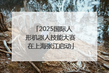 2025国际人形机器人技能大赛在上海张江启动