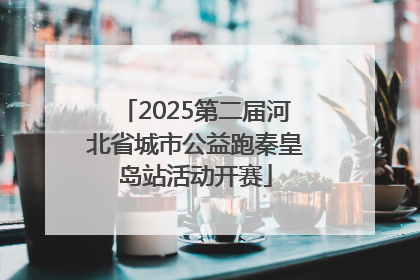2025第二届河北省城市公益跑秦皇岛站活动开赛
