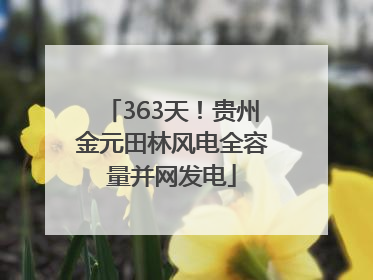 363天！贵州金元田林风电全容量并网发电