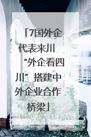 7国外企代表来川 “外企看四川”搭建中外企业合作桥梁