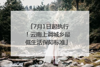 7月1日起执行！云南上调城乡最低生活保障标准