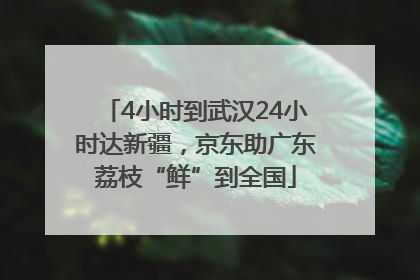 4小时到武汉24小时达新疆，京东助广东荔枝“鲜”到全国