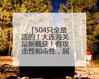 504只全是活的！大连海关最新截获！有攻击性和毒性，属于外来物种