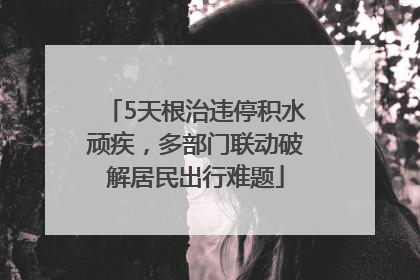 5天根治违停积水顽疾，多部门联动破解居民出行难题