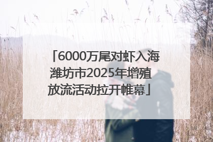 6000万尾对虾入海 潍坊市2025年增殖放流活动拉开帷幕