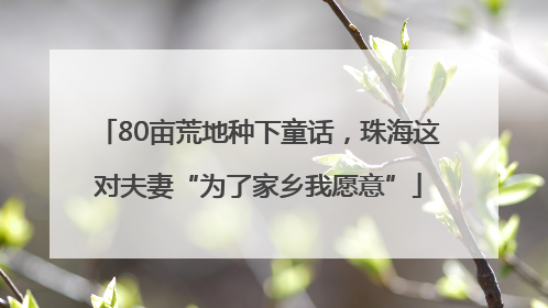 80亩荒地种下童话，珠海这对夫妻“为了家乡我愿意”