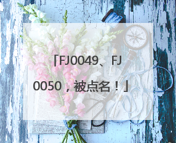 FJ0049、FJ0050，被点名！