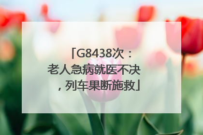 G8438次：老人急病就医不决，列车果断施救