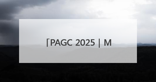 PAGC 2025｜MergeX荣膺「2025 H1 出海新势力奖」